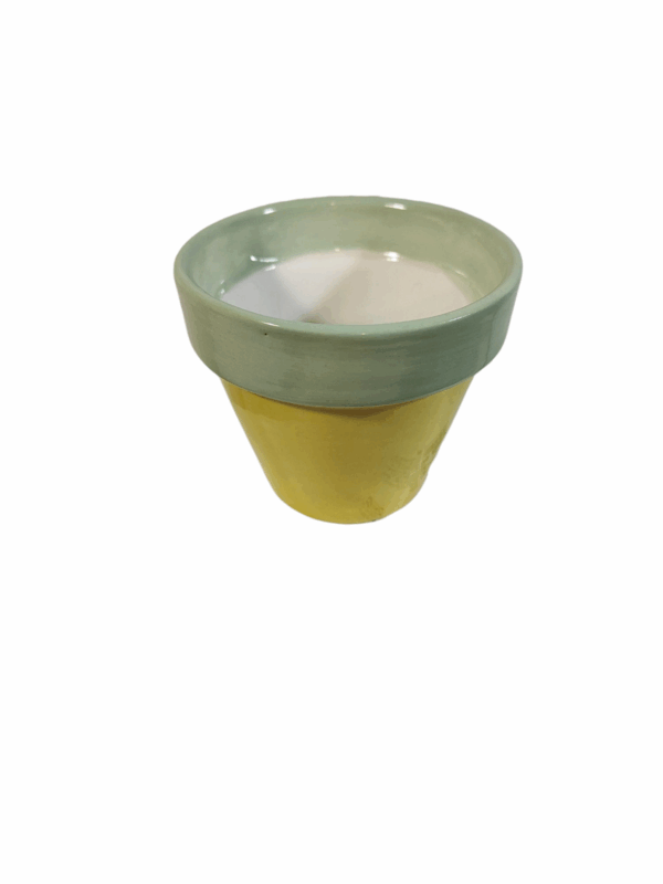 Maceta pastel piña